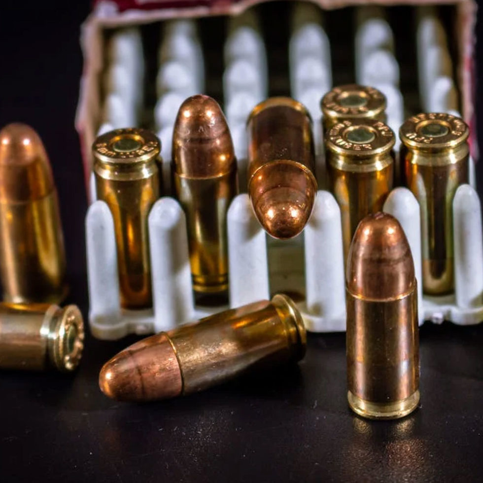 Secure Arms Guns & Ammo | A trading company dealing with firearms ...